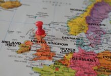 The Ultimate Guide to Dog-Friendly Travel in Scotland Scotland