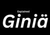 Giniä: The New Word Everyone Is Using That Is Very Powerful Giniä