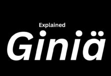 Giniä: The New Word Everyone Is Using That Is Very Powerful Giniä