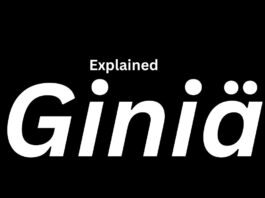 Giniä: The New Word Everyone Is Using That Is Very Powerful Giniä