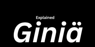 Giniä: The New Word Everyone Is Using That Is Very Powerful Giniä