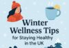 18 Winter Wellness Tips for Staying Healthy in the UK Winter Wellness Tips