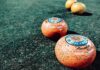 Why Taking Up Bowls is the Best New Years Resolution Lawn Bowls
