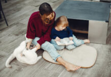 How Manchester Families Choose Laminate Flooring For Homes With Pets and Toddlers How Manchester Families Choose Laminate Flooring For Homes With Pets and Toddlers