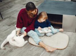 How Manchester Families Choose Laminate Flooring For Homes With Pets and Toddlers How Manchester Families Choose Laminate Flooring For Homes With Pets and Toddlers