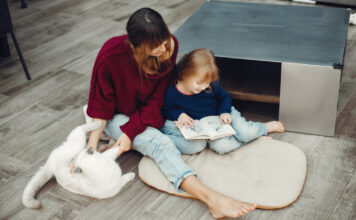 How Manchester Families Choose Laminate Flooring For Homes With Pets and Toddlers How Manchester Families Choose Laminate Flooring For Homes With Pets and Toddlers