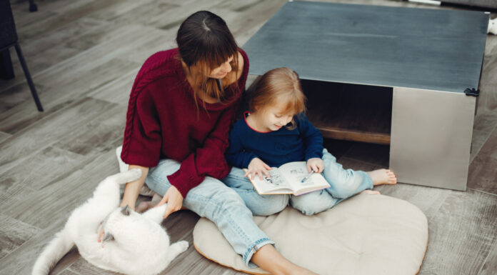 How Manchester Families Choose Laminate Flooring For Homes With Pets and Toddlers How Manchester Families Choose Laminate Flooring For Homes With Pets and Toddlers