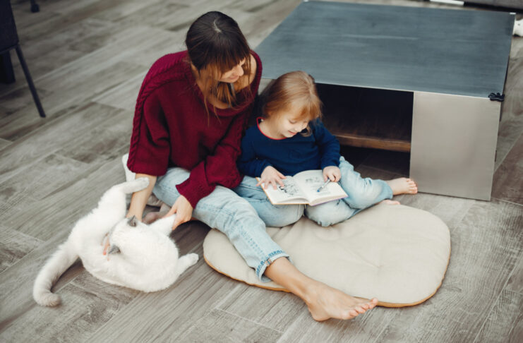 How Manchester Families Choose Laminate Flooring For Homes With Pets and Toddlers How Manchester Families Choose Laminate Flooring For Homes With Pets and Toddlers
