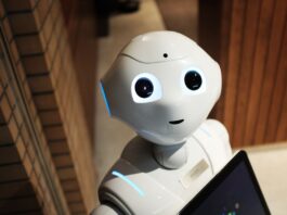The Agent on Probation: A Quiet Case for Patience in AI Deployment Agent