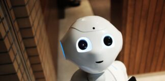 The Agent on Probation: A Quiet Case for Patience in AI Deployment Agent