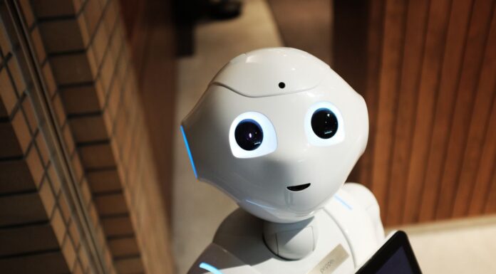 The Agent on Probation: A Quiet Case for Patience in AI Deployment Agent